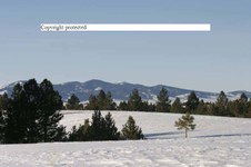 Enlarge photo 116