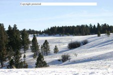 Enlarge photo 117