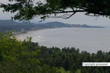 Enlarge photo 51