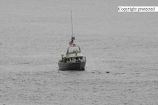 Enlarge photo 52