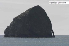 Enlarge photo 53