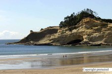 Enlarge photo 54