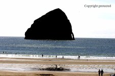 Enlarge photo 55