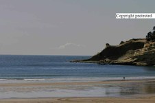 Enlarge photo 56