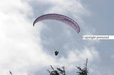 Enlarge photo 58