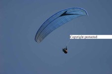 Enlarge photo 59