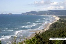 Enlarge photo 62