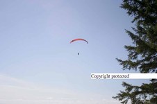 Enlarge photo 64