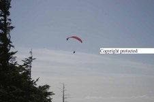 Enlarge photo 65