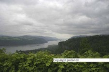 Enlarge photo 72