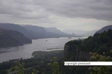 Enlarge photo 73