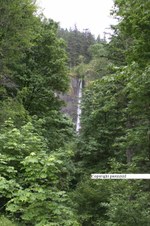 Enlarge photo 75