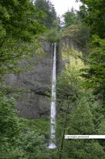 Enlarge photo 76