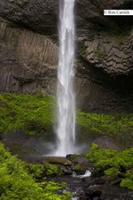 Enlarge photo 78
