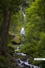Enlarge photo 79