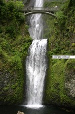 Enlarge photo 80