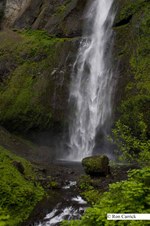 Enlarge photo 81