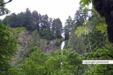 Enlarge photo 84