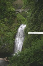 Enlarge photo 85