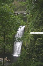 Enlarge photo 86