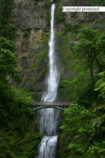Enlarge photo 87