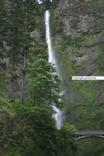 Enlarge photo 89