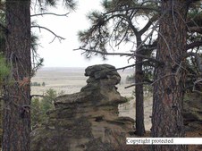 Enlarge photo 24