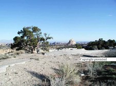 Enlarge photo 37
