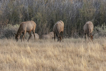 Enlarge photo 12