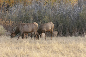 Enlarge photo 14