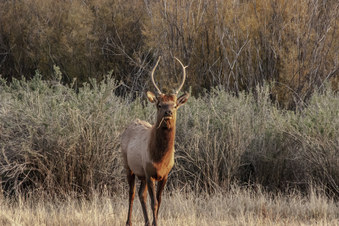 Enlarge photo 20
