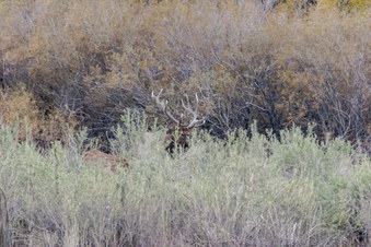 Enlarge photo 29