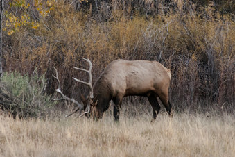 Enlarge photo 30