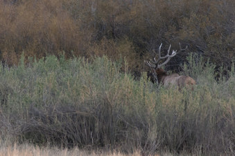 Enlarge photo 32