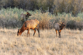 Enlarge photo 35