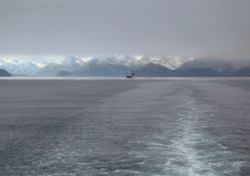 Enlarge photo 186