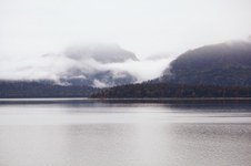 Enlarge photo 189