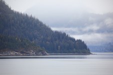 Enlarge photo 192