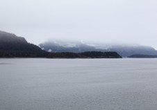 Enlarge photo 194