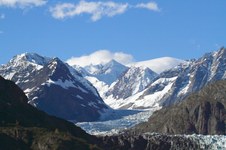 Enlarge photo 216