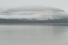 Enlarge photo 222