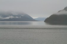 Enlarge photo 223