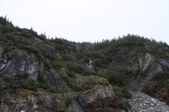 Enlarge photo 57