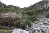 Enlarge photo 58