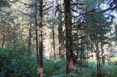 Enlarge photo 31