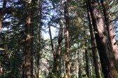 Enlarge photo 34