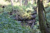 Enlarge photo 35