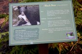 Enlarge photo 36