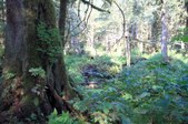 Enlarge photo 37