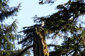 Enlarge photo 38